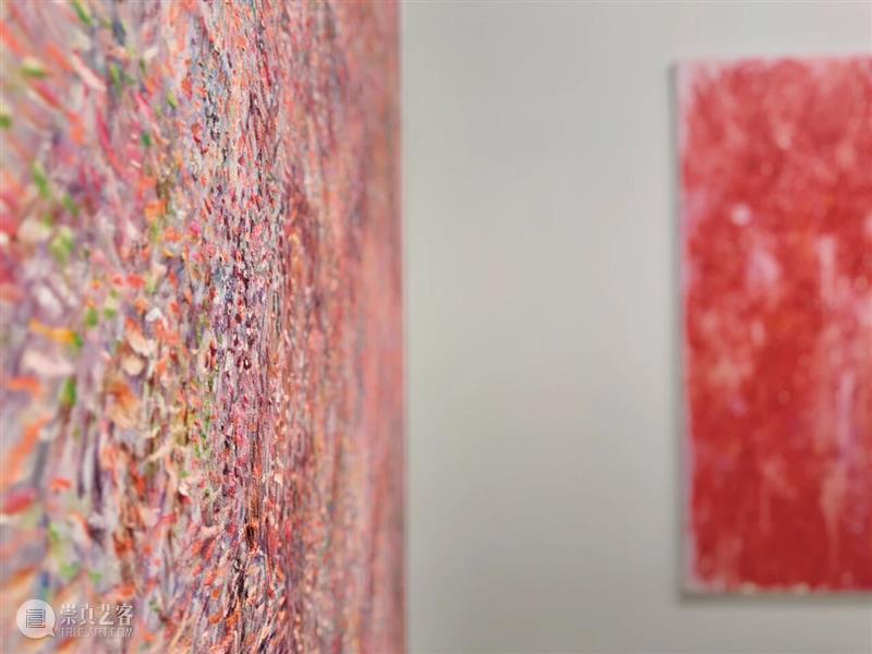 新氧艺O2art | 彭斯个人项目「冷火焰」| 2025 西岸艺术与设计博览会 | 现场回顾 崇真艺客