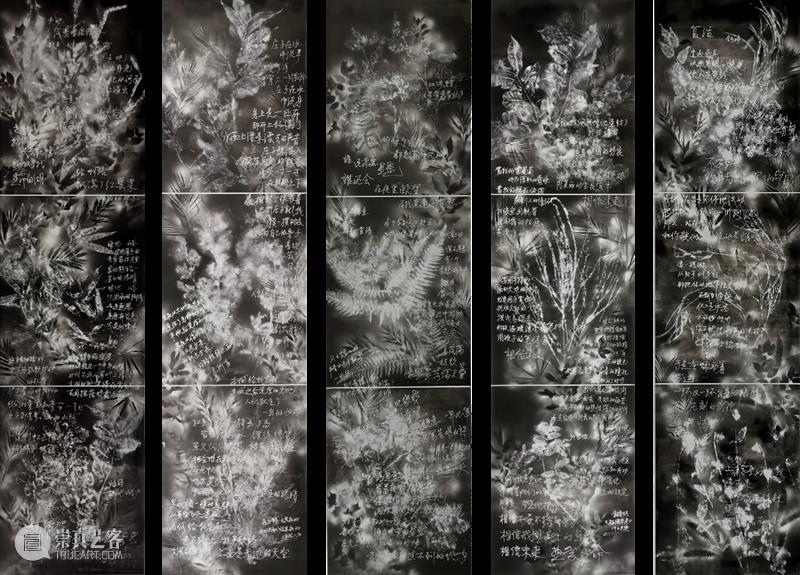 展览预告 | 东海岸馆首展“洋流上下——形式诗学与滨海叙事” 崇真艺客