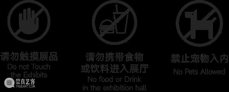 展览预告 | 东海岸馆首展“洋流上下——形式诗学与滨海叙事” 崇真艺客