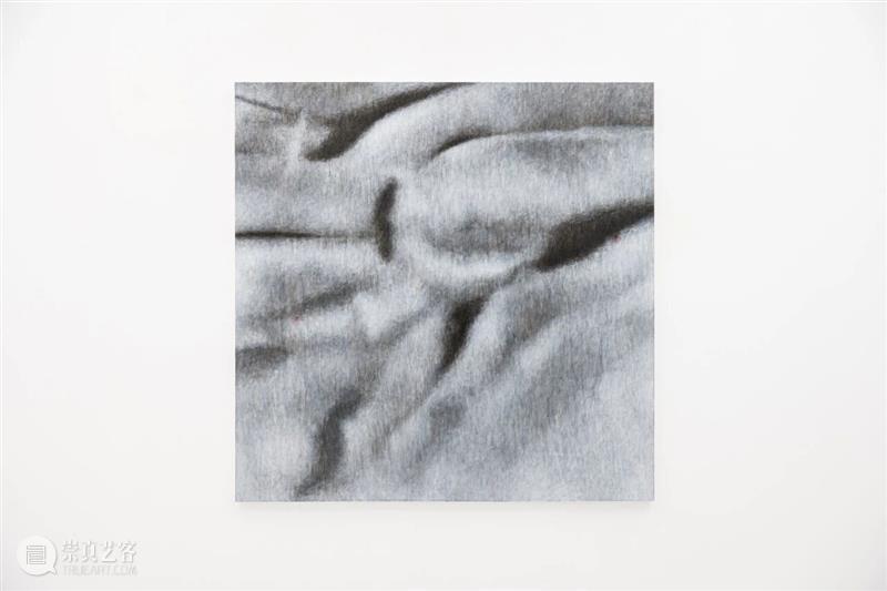 文章 Article｜李泽韬：徒长枝 Futile sprout 崇真艺客