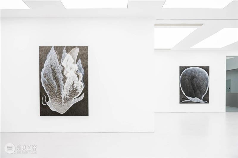 文章 Article｜李泽韬：徒长枝 Futile sprout 崇真艺客