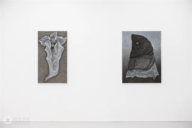 文章 Article｜李泽韬：徒长枝 Futile sprout 崇真艺客