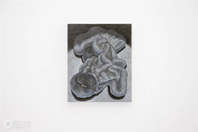 文章 Article｜李泽韬：徒长枝 Futile sprout 崇真艺客