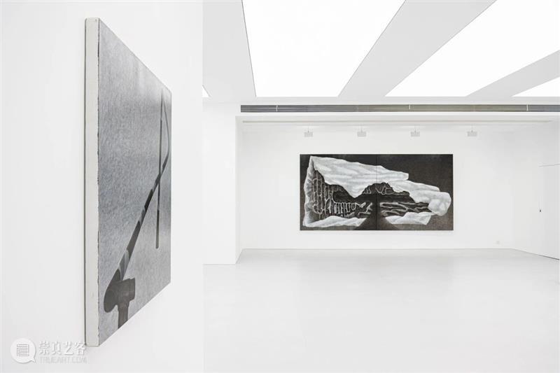 文章 Article｜李泽韬：徒长枝 Futile sprout 崇真艺客