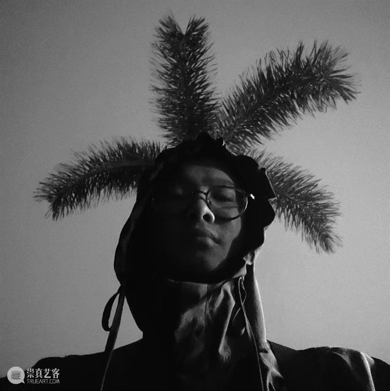 文章 Article｜李泽韬：徒长枝 Futile sprout 崇真艺客