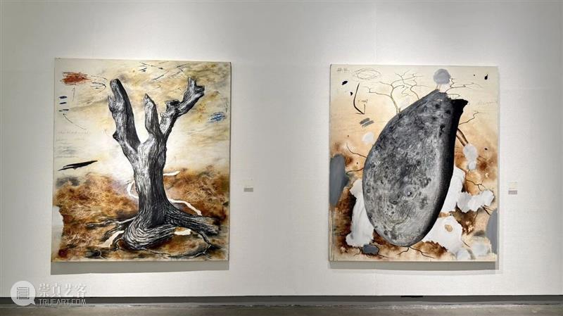 新展预告 | “2025中国新疆世界大学生当代艺术作品展”即将开展 崇真艺客