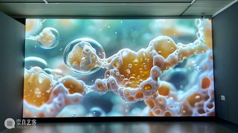 新展预告 | “2025中国新疆世界大学生当代艺术作品展”即将开展 崇真艺客