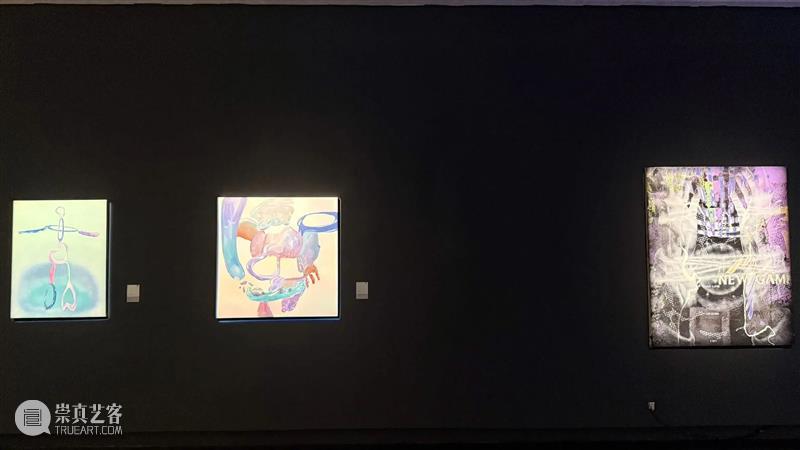 新展预告 | “2025中国新疆世界大学生当代艺术作品展”即将开展 崇真艺客