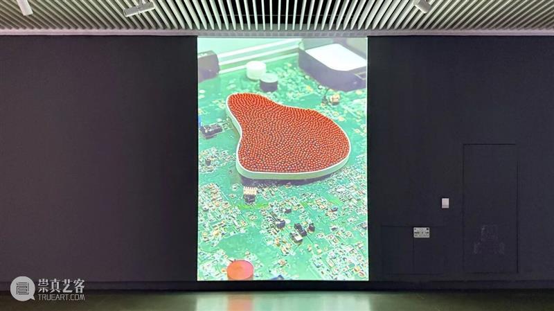新展预告 | “2025中国新疆世界大学生当代艺术作品展”即将开展 崇真艺客