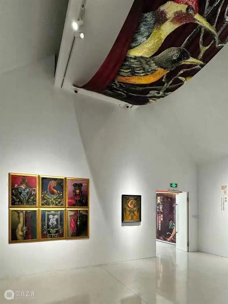 “何旸的弧光：一个人的乌托邦” 崇真艺客