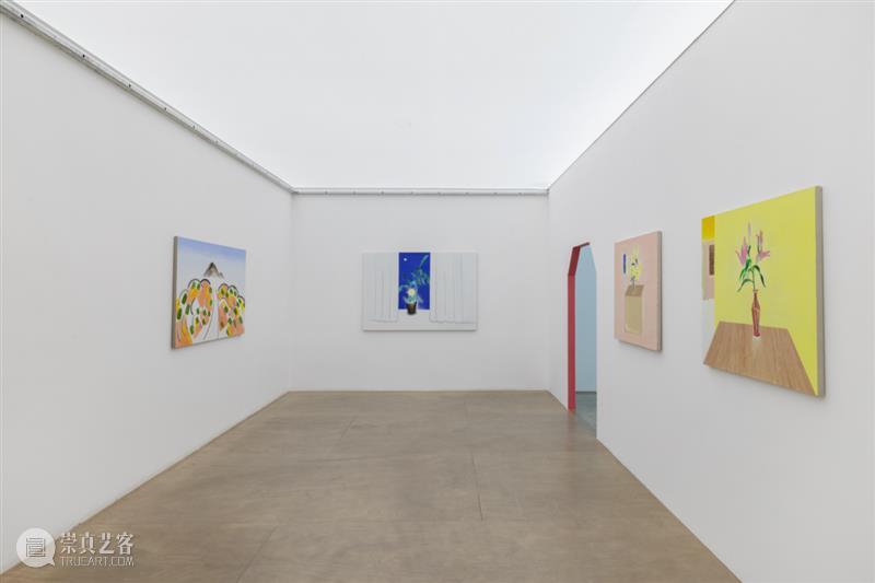 CLC Gallery Venture | 田田个展 “画” 展览现场 崇真艺客