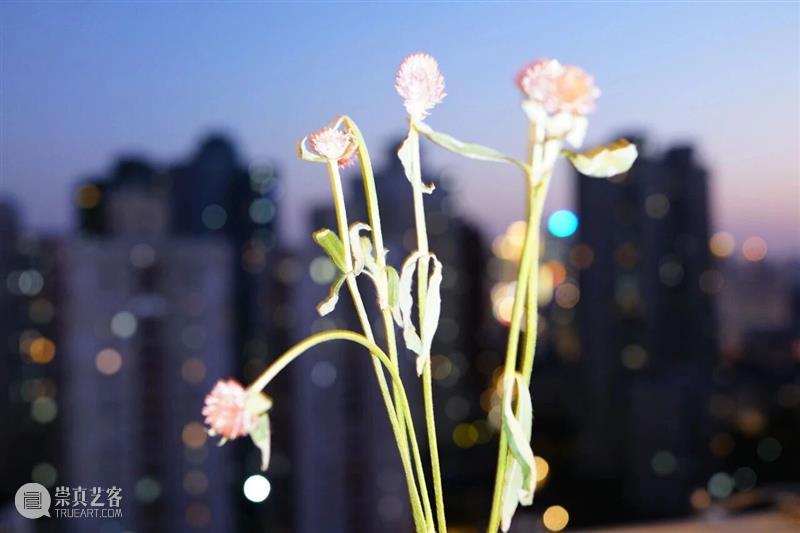 活动预告｜李远浩《以太》新书发布与分享会 崇真艺客