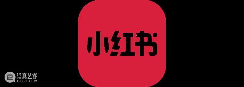 洋流上下·聚焦｜倪志琪：从色彩到存在 崇真艺客