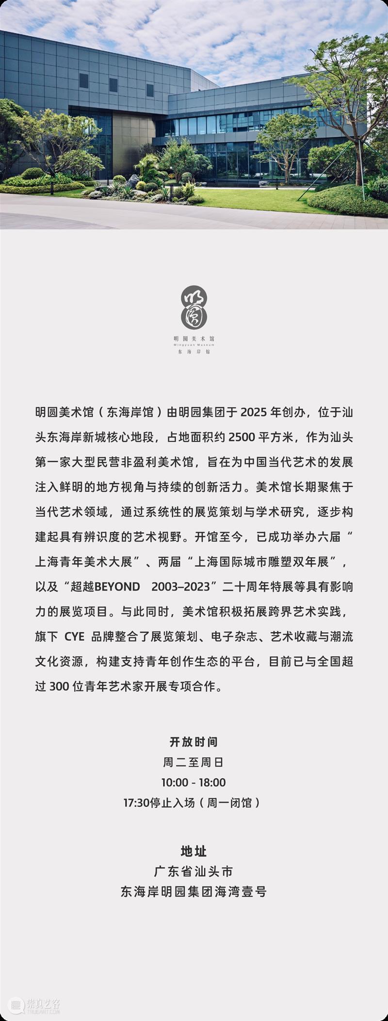 洋流上下·聚焦｜倪志琪：从色彩到存在 崇真艺客