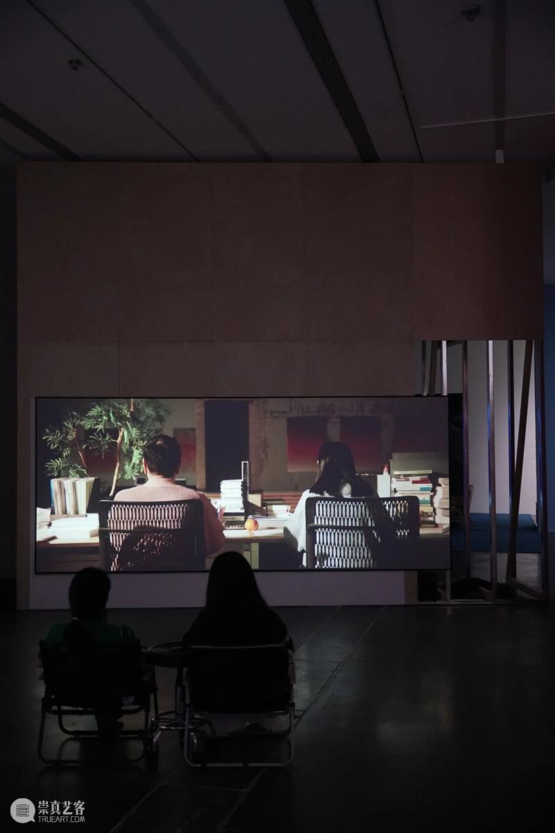 “田中功起：临时共同体”展览系列丨特邀导览：老去的共在 崇真艺客