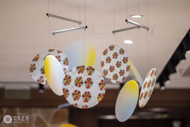 UCCA Lab丨Peak Performance壁克峰艺术项目“下一跃”之生态季：跃迹 崇真艺客