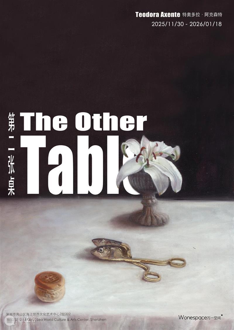展览预告 | 特奥多拉·阿克森特个展：第二张桌 崇真艺客