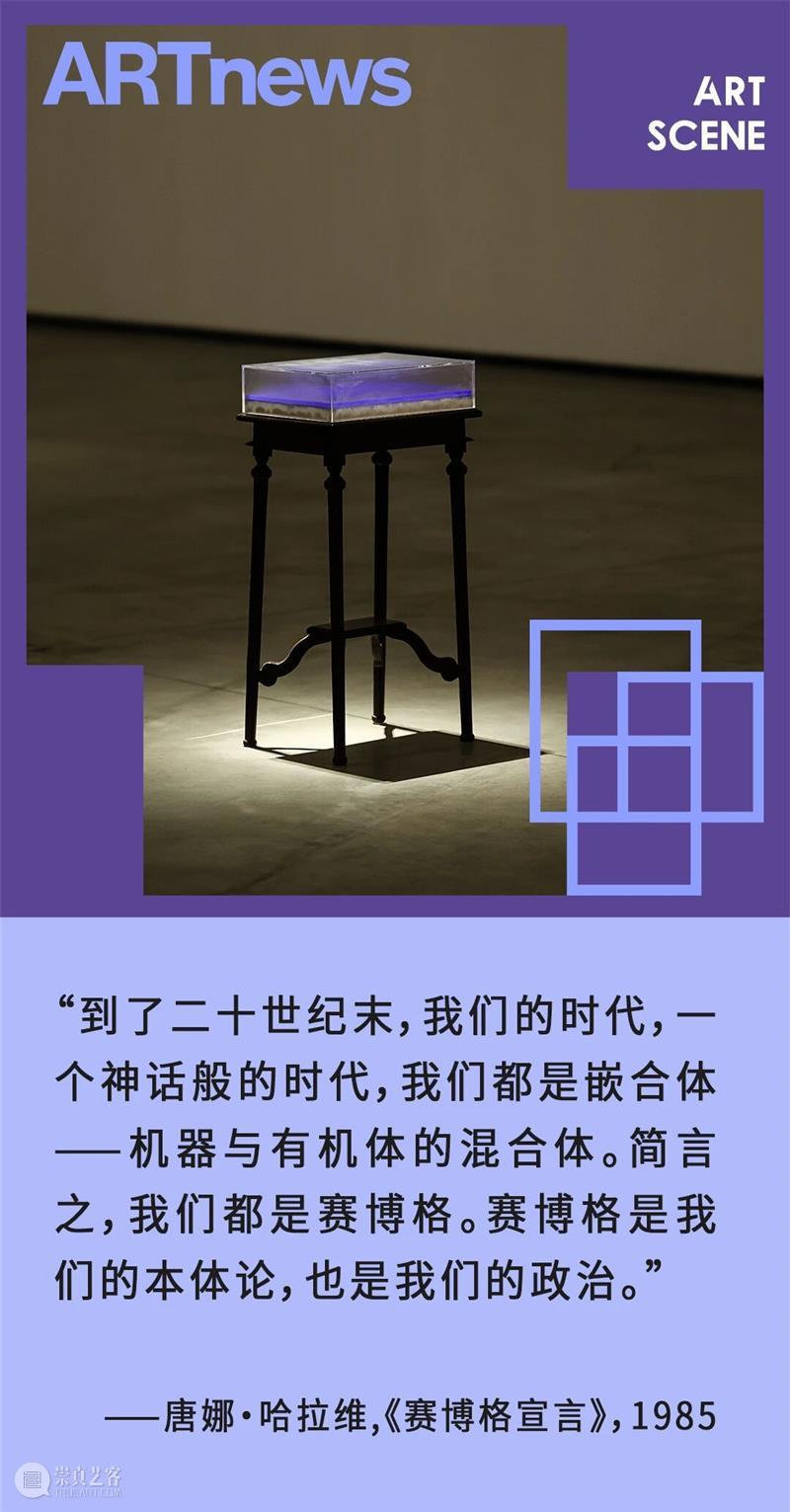 “混成”现场：当艺术踏入后人类纪 崇真艺客