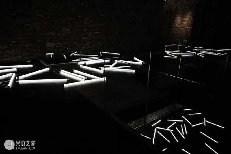 “混成”现场：当艺术踏入后人类纪 崇真艺客