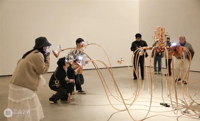 “混成”现场：当艺术踏入后人类纪 崇真艺客