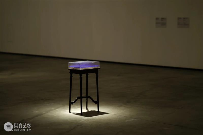 “混成”现场：当艺术踏入后人类纪 崇真艺客