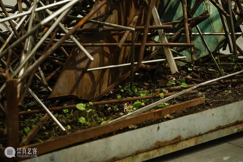 “混成”现场：当艺术踏入后人类纪 崇真艺客