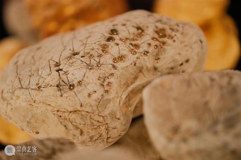 偏锋 展览 | 《黄金与羽毛：邬建安个展》于张园揭幕 崇真艺客