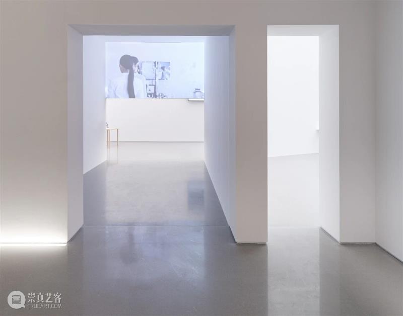 展评 | 王韩芳：Vera | 香格纳北京 崇真艺客