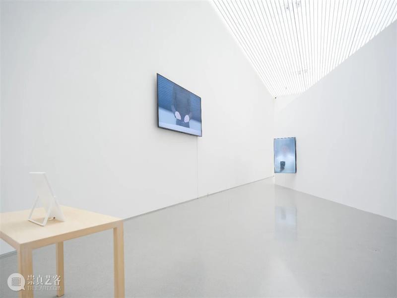 展评 | 王韩芳：Vera | 香格纳北京 崇真艺客