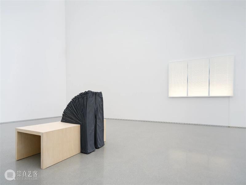 展评 | 王韩芳：Vera | 香格纳北京 崇真艺客