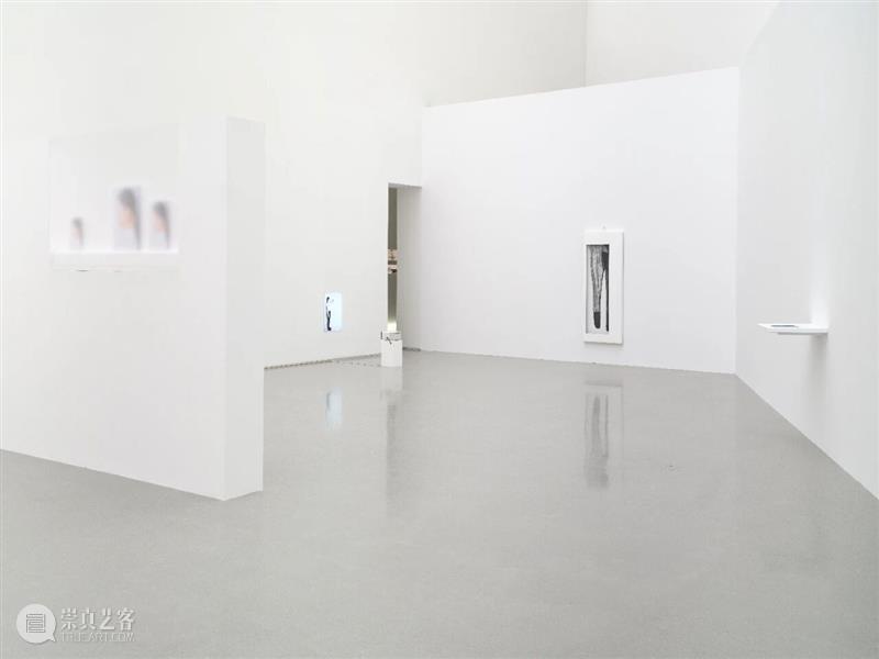 展评 | 王韩芳：Vera | 香格纳北京 崇真艺客