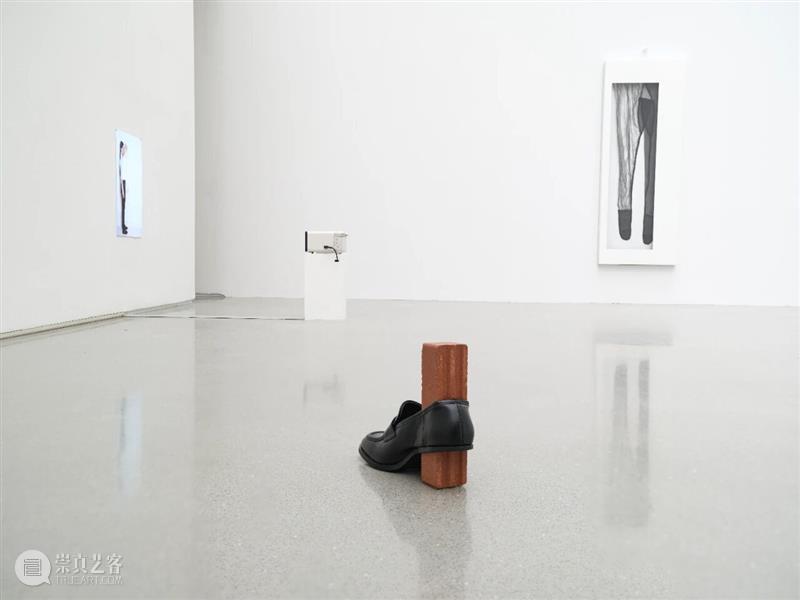 展评 | 王韩芳：Vera | 香格纳北京 崇真艺客