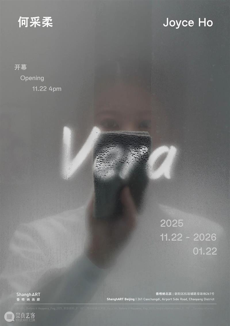 展评 | 王韩芳：Vera | 香格纳北京 崇真艺客