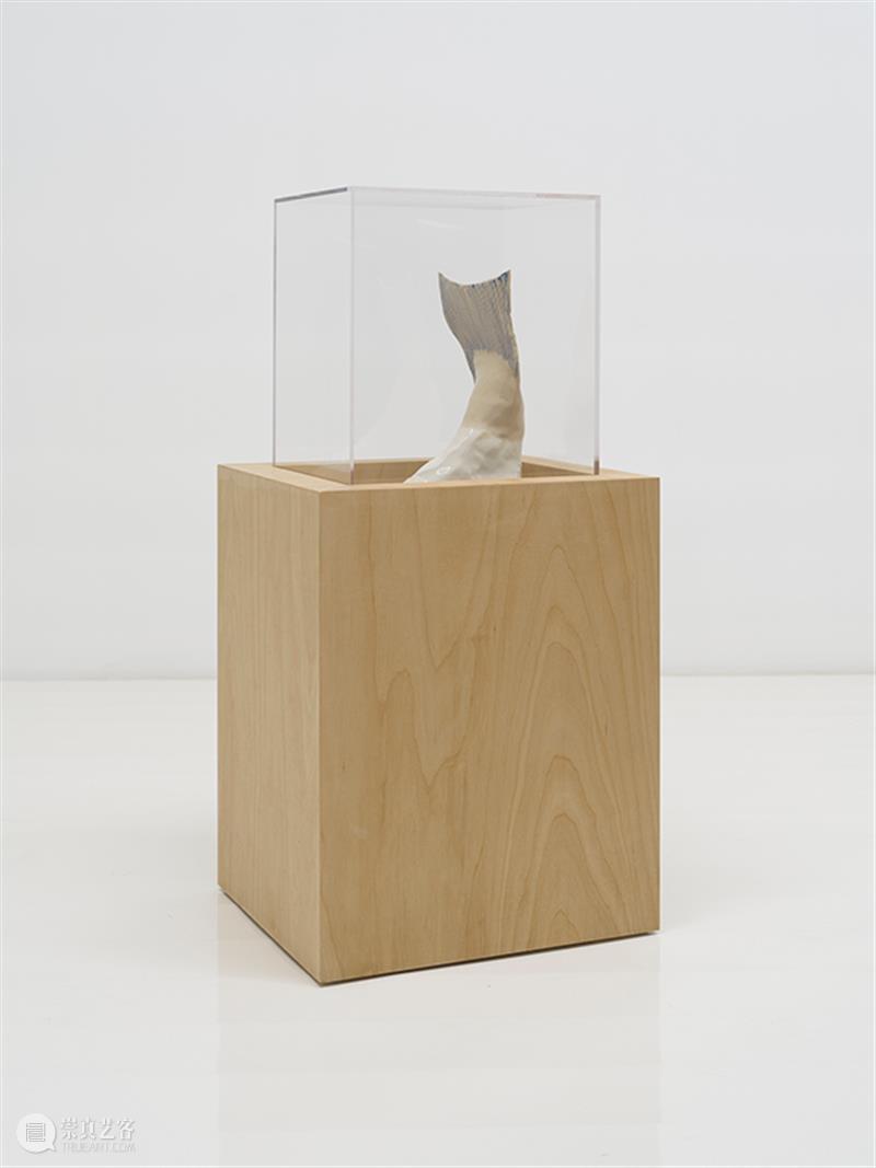 胶囊｜张丰渊：无尽诱惑｜展览现场 崇真艺客