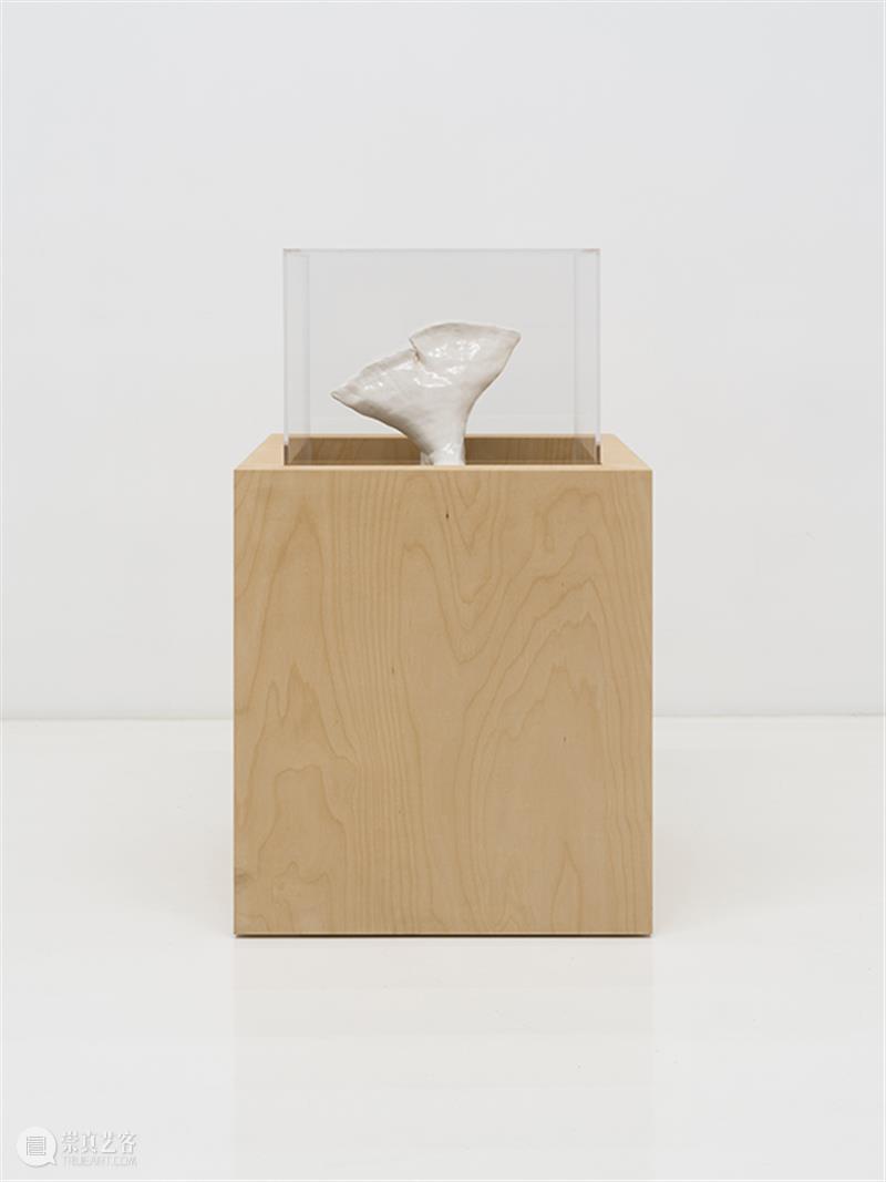 胶囊｜张丰渊：无尽诱惑｜展览现场 崇真艺客