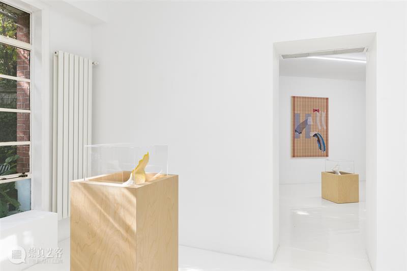 胶囊｜张丰渊：无尽诱惑｜展览现场 崇真艺客