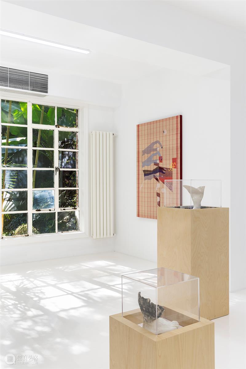 胶囊｜张丰渊：无尽诱惑｜展览现场 崇真艺客