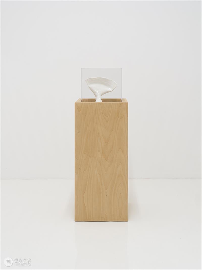 胶囊｜张丰渊：无尽诱惑｜展览现场 崇真艺客