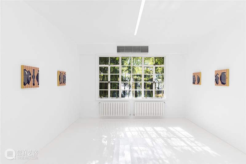 胶囊｜张丰渊：无尽诱惑｜展览现场 崇真艺客