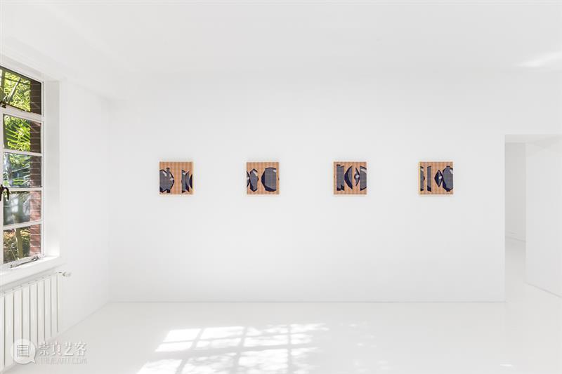 胶囊｜张丰渊：无尽诱惑｜展览现场 崇真艺客