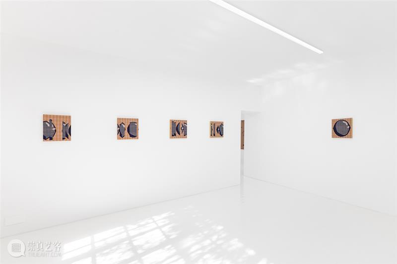 胶囊｜张丰渊：无尽诱惑｜展览现场 崇真艺客