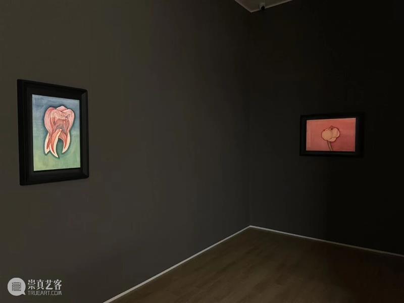 新氧艺O2art | 展览现场 |  陈督兮个展「欸乃」 崇真艺客