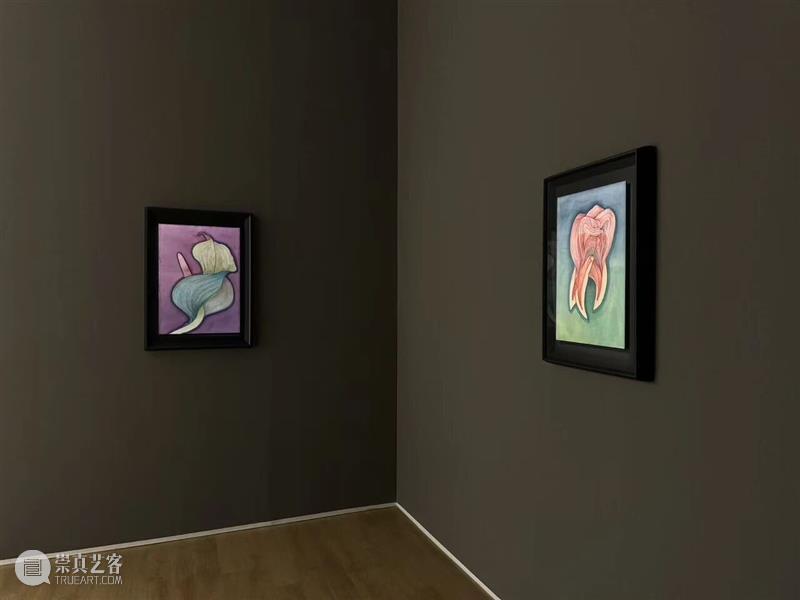 新氧艺O2art | 展览现场 |  陈督兮个展「欸乃」 崇真艺客