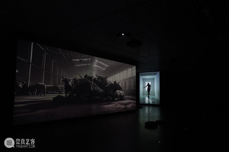 “2025中国新疆世界大学生当代艺术作品展”今日盛大开幕 崇真艺客