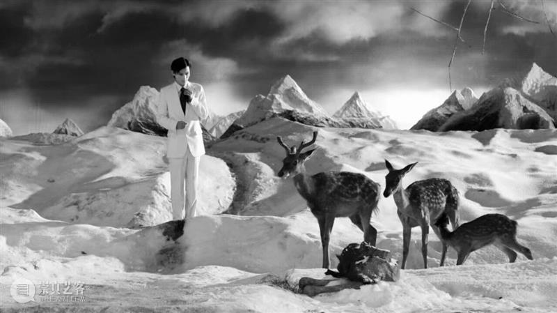 只剩3天！这场把“红毯”引进“白盒子”的展览，让金鸡奖生出个“彩蛋” 崇真艺客