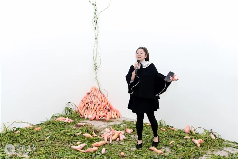 「女性艺术家访谈」周煜嵋：用“红薯”进行一场 “熟悉的叛乱” 崇真艺客