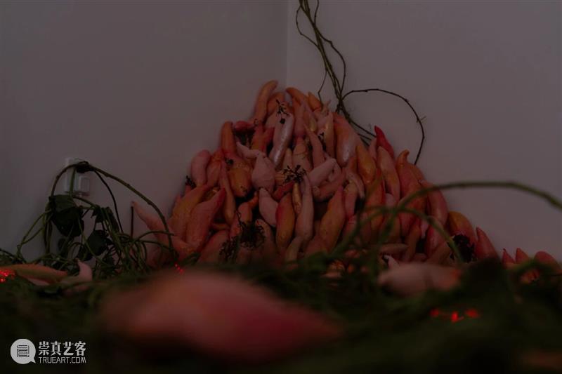 「女性艺术家访谈」周煜嵋：用“红薯”进行一场 “熟悉的叛乱” 崇真艺客