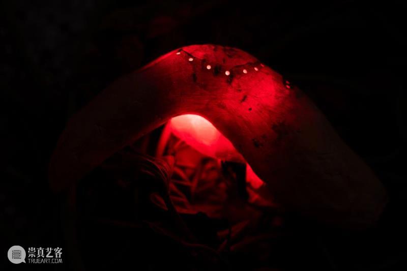 「女性艺术家访谈」周煜嵋：用“红薯”进行一场 “熟悉的叛乱” 崇真艺客