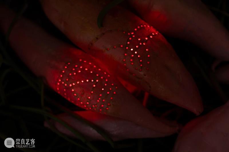 「女性艺术家访谈」周煜嵋：用“红薯”进行一场 “熟悉的叛乱” 崇真艺客