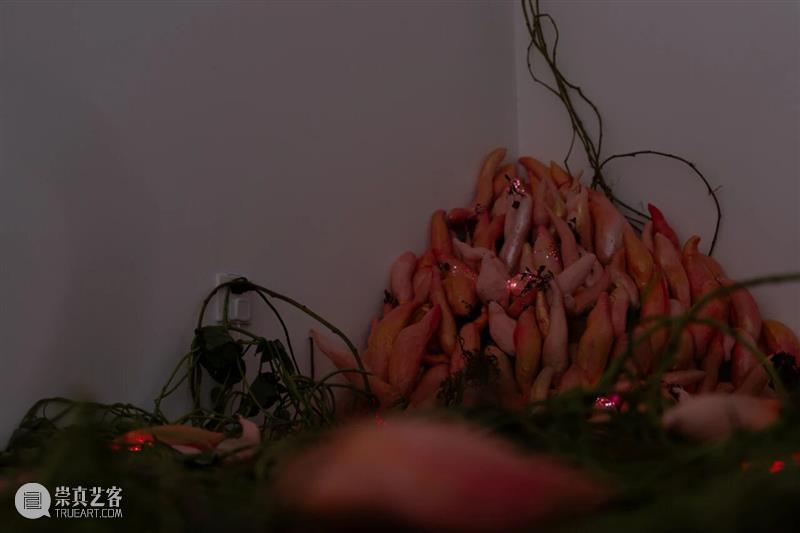 「女性艺术家访谈」周煜嵋：用“红薯”进行一场 “熟悉的叛乱” 崇真艺客